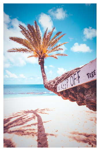 Palm Keep Off