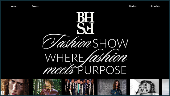 BH-FS Website Screenshot