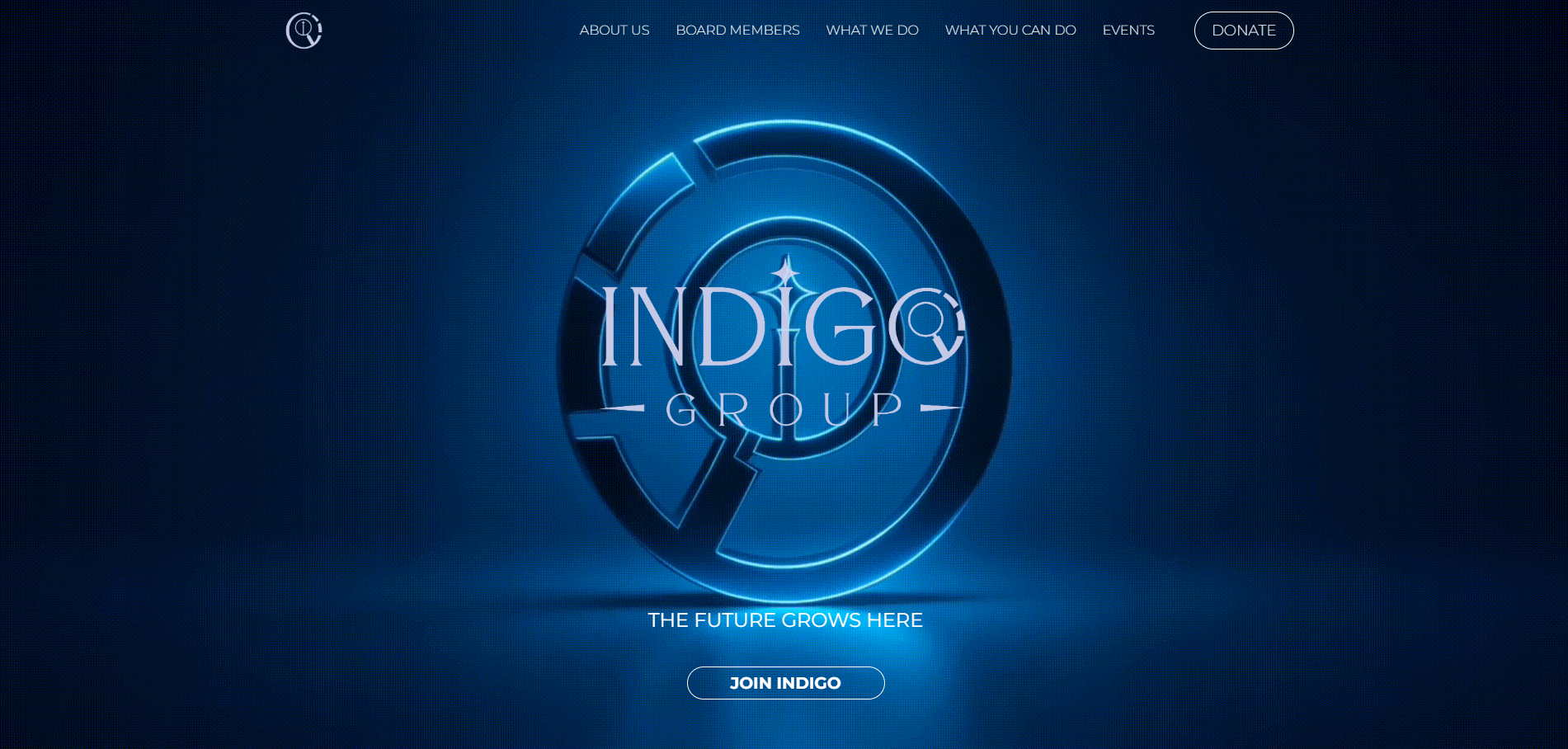 Indigo Group Website Screenshot